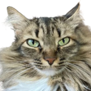 Agatha Discord emoji