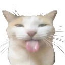 cat_bleah Discord sticker from Lunera Community