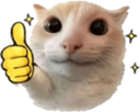 546820upvote