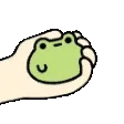 frog_in_hand