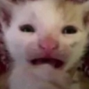 emoji_10 custom emote | نوقطه