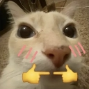 emoji_25 Discord Emoji - نوقطه