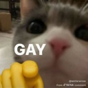 :gay: