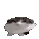 :gato_bounce: