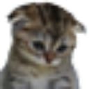sadkitty custom emote - ☾ 𓂃 𝑺𝒐𝒎𝒆𝒘𝒉𝒆𝒓𝒆 𝑬𝒍𝒔𝒆 ⋆｡˚