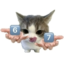 sixseven custom emote from 𓂃 ࣪˖ ୨୧ 𝑺𝒐𝒎𝒆𝒘𝒉𝒆𝒓𝒆 𝑬𝒍𝒔𝒆 ୨୧ 𓂃 ࣪˖