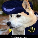 A Shiba Inu dog wearing a dark blue pompadour wig and a sailor uniform with a gold anchor emblem.