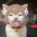 A white cat with an anime-style hair accessory sticking its tongue out in a silly expression.