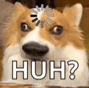 :doggohuh: