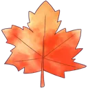 294548ffmapleleaf