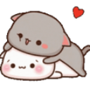 A grey cat playfully pounces on a white cat with a small red heart floating above them.