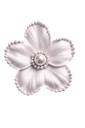 A white five-petaled flower with a shiny pearl center and soft lighting.