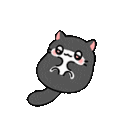 56816catbelly