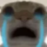 cat_cry_again custom emote - MehfilX