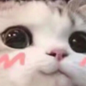 cutecat Discord sticker - Friendly~World