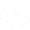 A white butterfly silhouette isolated on a dark background.