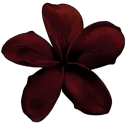 :1515879051376722061: