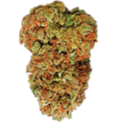 Cannabis flower bud with green and orange textures.