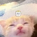 catc2
