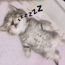 catc3 custom emote | 𝑃𝑎𝑤💤.𝑒𝑥𝑒