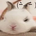 bunyc5