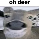 derf1