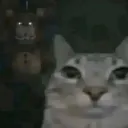catf2