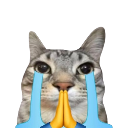 A cat with large blue tears streaming down its face and yellow cartoon hands pressed together in a prayer gesture.