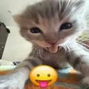 emoji_64