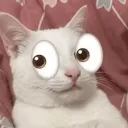 emoji_42
