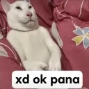 emoji_43