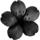 68_black_flower Discord Emoji | ⸜ 𝟫𝟫 𝙽ights 𝙲amp ⸝ ･ 𝚁oblox ･ 𝙶aming ･ 𝙲hat
