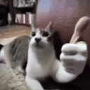:emoji_16: