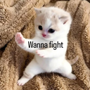 :fight: