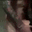 leah_roughhh animated emote from ✮ 𝙇𝙪𝙨𝙩𝙛𝙪𝙡 ✮