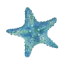 A blue starfish with a textured surface.