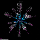 A glowing, symmetrical geometric starburst with blue and purple rings on a black background.