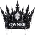 A dark, ornate gothic crown with the word OWNER written in white text across the center.