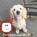 robloxface