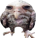 sova_2 custom emote | The Basement