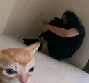 abusive_cat