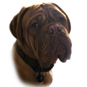 emoji_489 Discord emoji