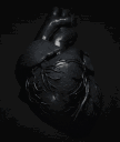 Anatomical heart rendered in dark, monochromatic 3D style.