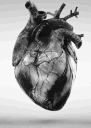 Four realistic human hearts arranged in a row, appearing to pulse in a sequence.