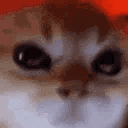 grrrr animated GIF emoji from Despised Icon (18+)