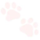 w_paw