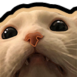 :catpeak: