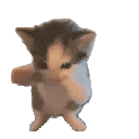 :CatSticker: