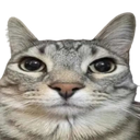 seriously Discord Emoji | r/Gatti