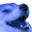 kekdoge animated emote from OAZĖ